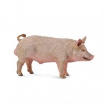 Collecta - Cerdo macho (88864)