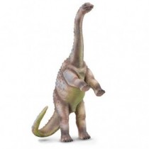 Collecta rhoetosaurus